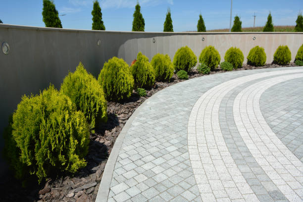 Best Custom Driveway Pavers  in Cecilia, LA